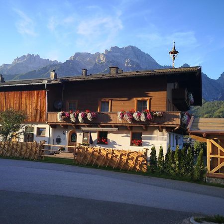 Stockingbauer Villa Leogang Exterior photo